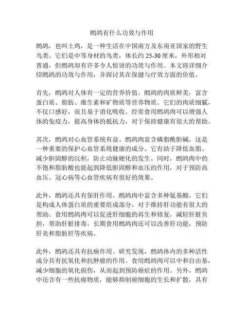 鹧鸪有什么功效与作用