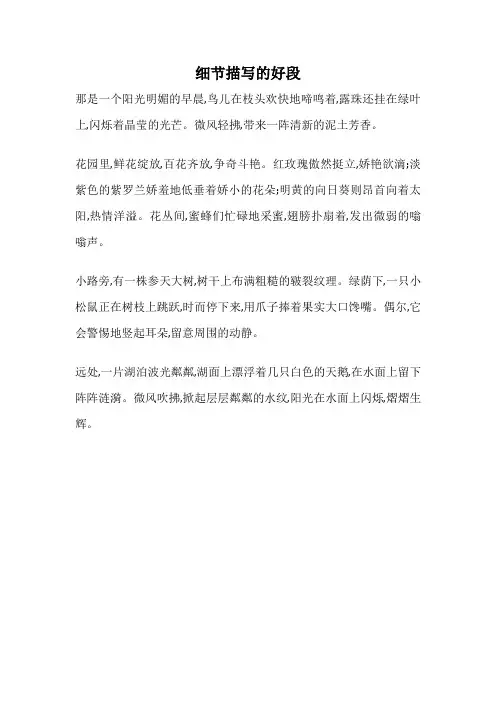 细节描写的好段