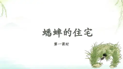 蟋蟀的住宅ppt课件