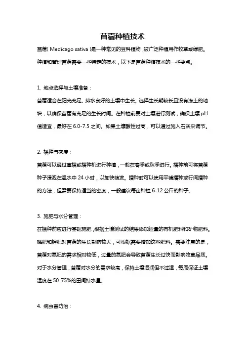 苜蓿种植技术