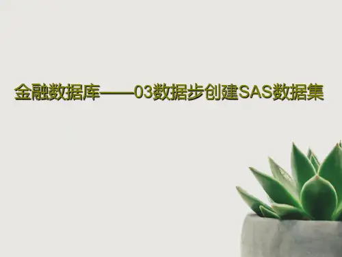 金融数据库——03数据步创建SAS数据集共74页文档