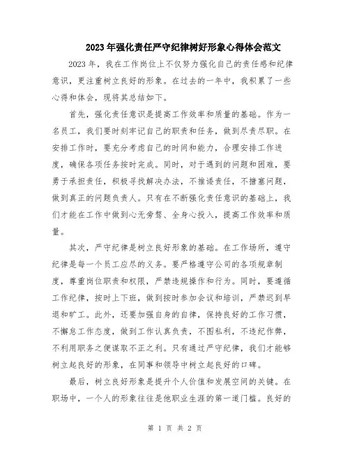 2023年强化责任严守纪律树好形象心得体会范文