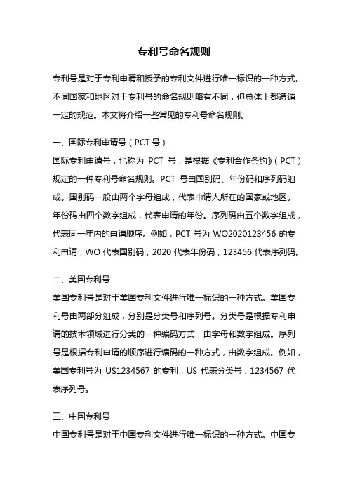 专利号命名规则