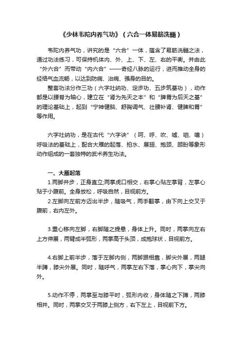 《少林韦陀内养气功》（六合一体易筋洗髓）