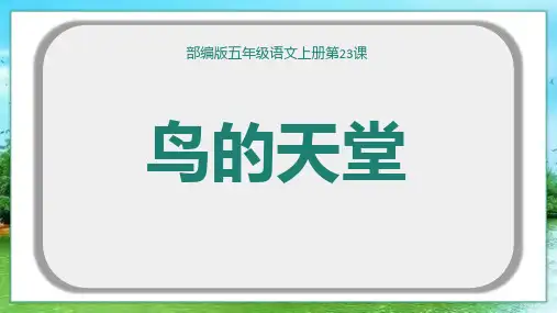 22 鸟的天堂 课件(共24张PPT)