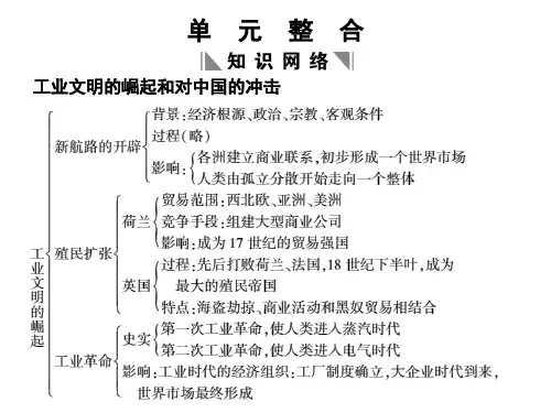 工业文明的崛起及其对我国的冲击.pptx