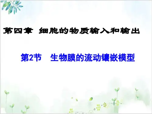 人教版高中生物必修1课件-生物膜的流动镶嵌模型(27张)-PPT优秀课件