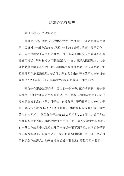 温带企鹅有哪些