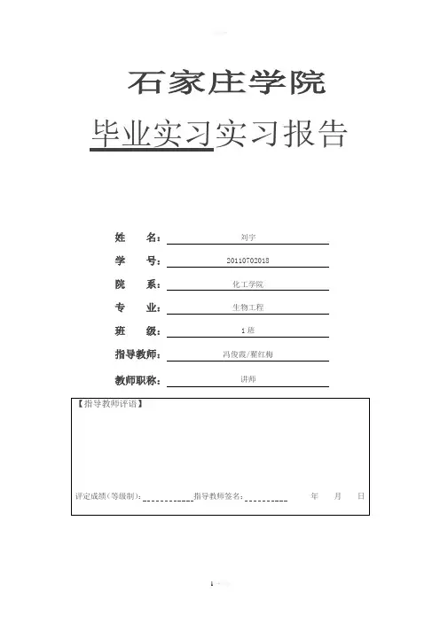 今麦郎方便面厂实习报告