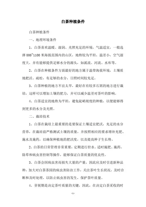 白茶种植条件