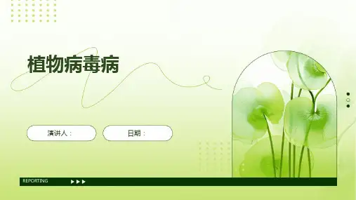 植物病毒病
