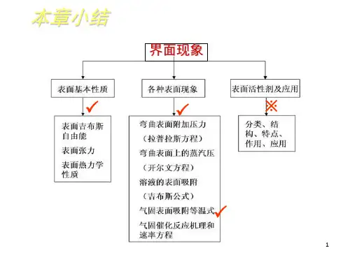 《界面现象习题》PPT课件
