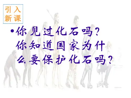 7.生物进化的历程课件((人教版生物)