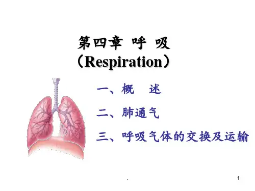呼吸-气体交换PPT课件