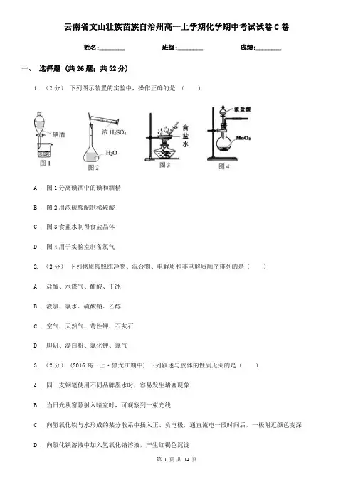 云南省文山壮族苗族自治州高一上学期化学期中考试试卷C卷