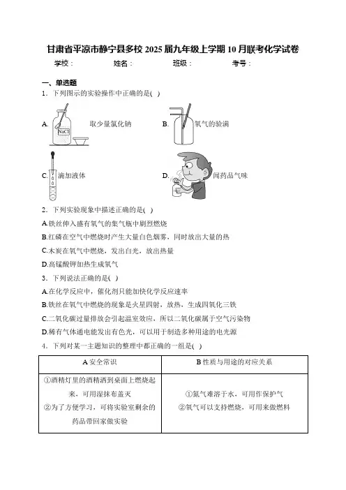 2024年九年级上学期10月联考化学试卷(含解析)