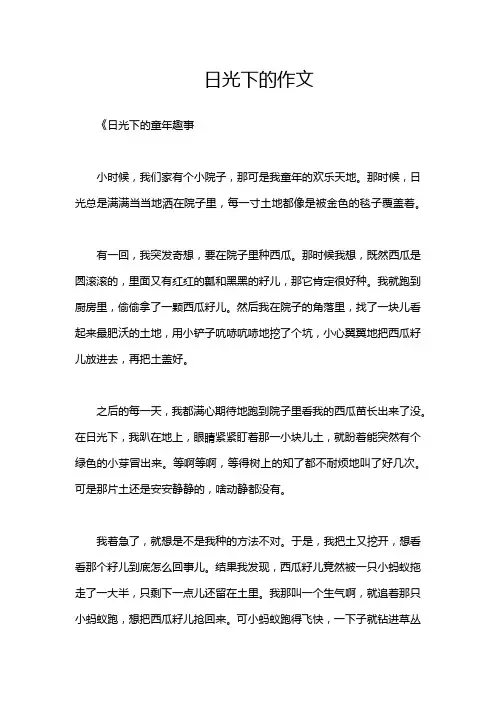 日光下的作文