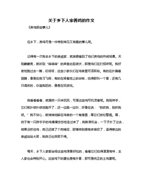 关于乡下人家养鸡的作文