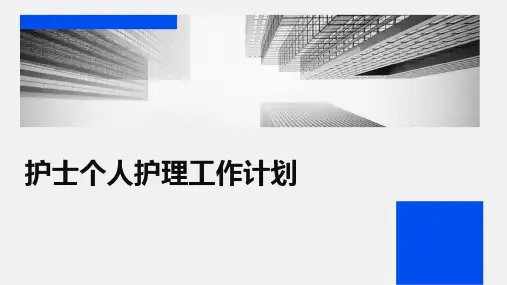 护士个人护理工作计划PPT