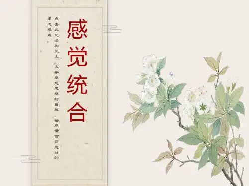 感觉统合理论与实践