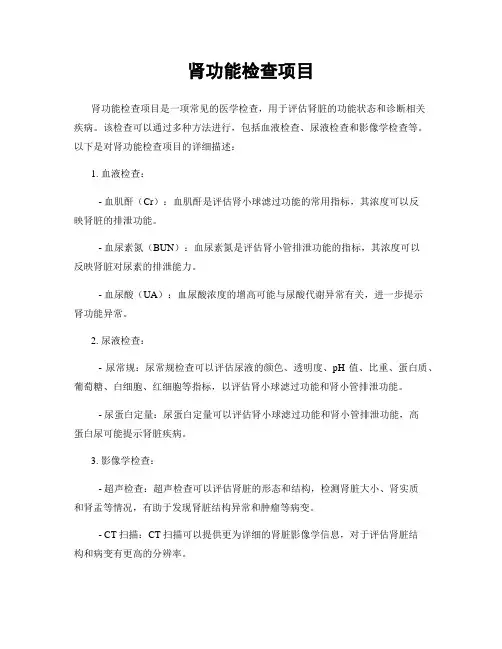 肾功能检查项目