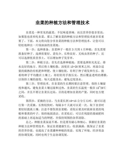 韭菜的种植方法和管理技术