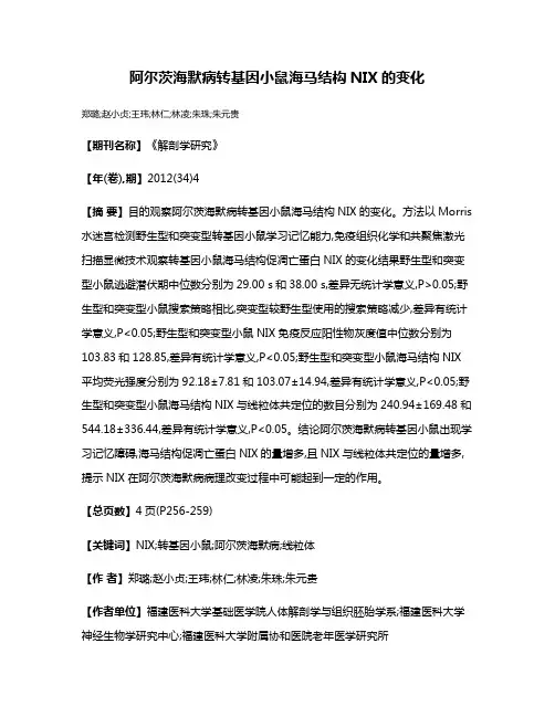 阿尔茨海默病转基因小鼠海马结构NIX的变化