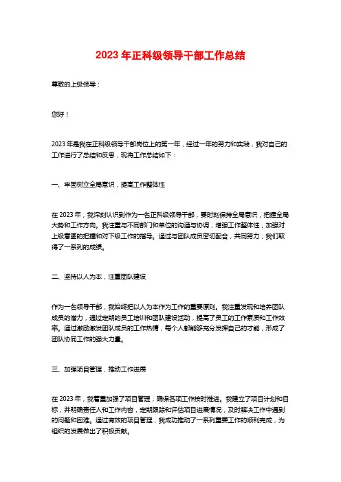 2023年正科级领导干部工作总结