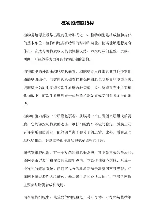 植物的细胞结构
