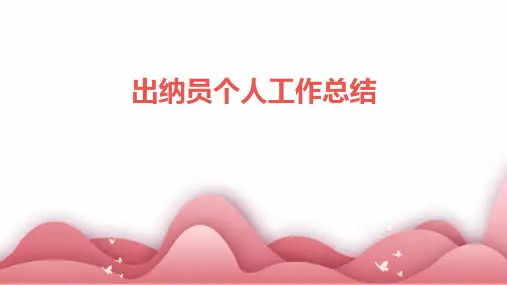 出纳员个人工作总结PPT
