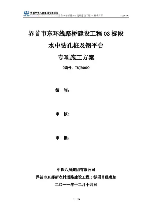 水中钻孔及平台施工方案