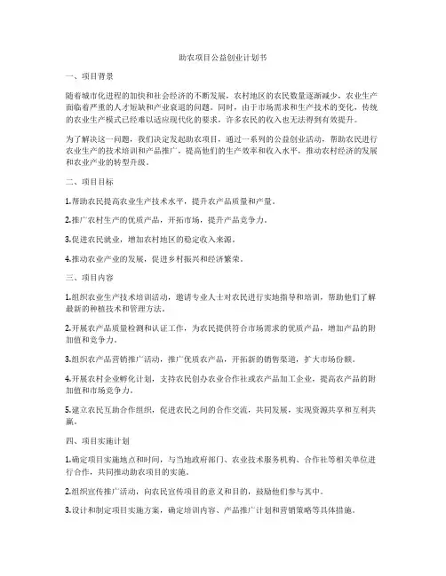助农项目公益创业计划书