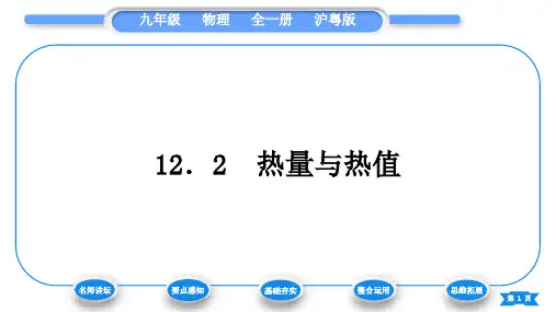 粤沪版九年级物理第十二章内能与热机12