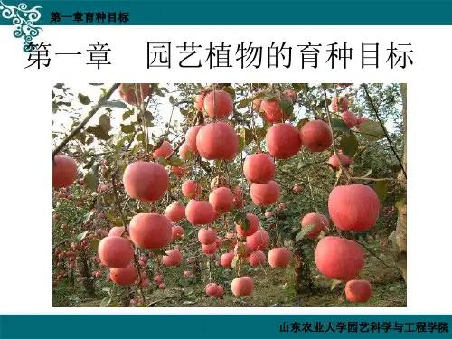 园艺育种-第一章育种目标(ppt模板)