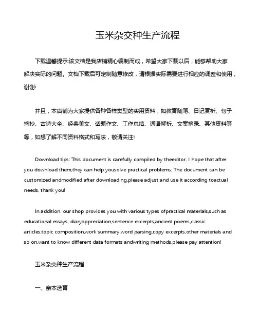玉米杂交种生产流程