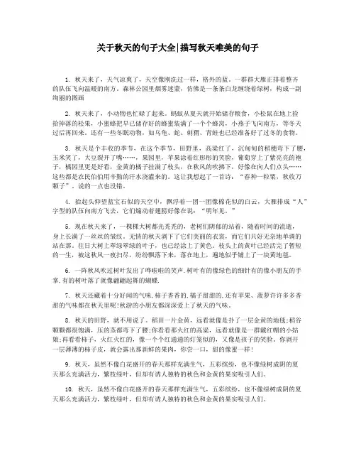 关于秋天的句子大全描写秋天唯美的句子