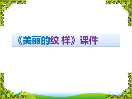人教版五年级美术：《美丽的纹样》课件03
