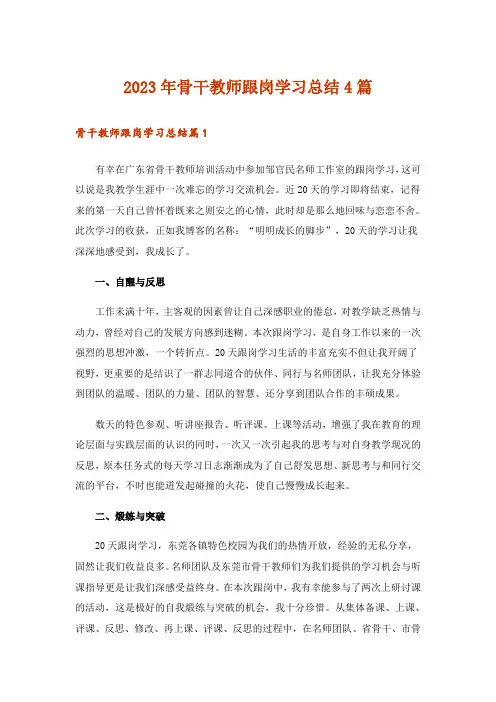 2023年骨干教师跟岗学习总结4篇