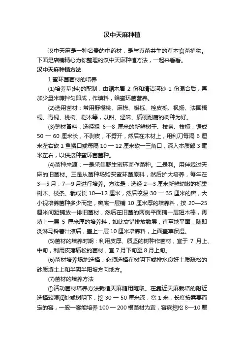 汉中天麻种植