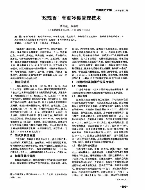 ‘玫瑰香’葡萄冷棚管理技术