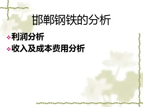 利润表主要项目分析ccpy