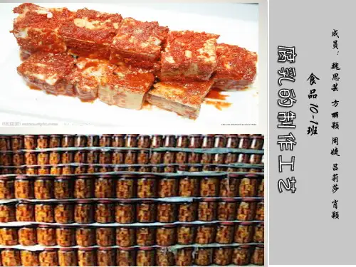 腐乳的制作  课上完美presentation ppt