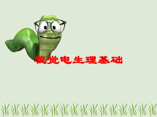 视觉电生理基础培训课件