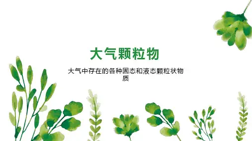 大气颗粒物 