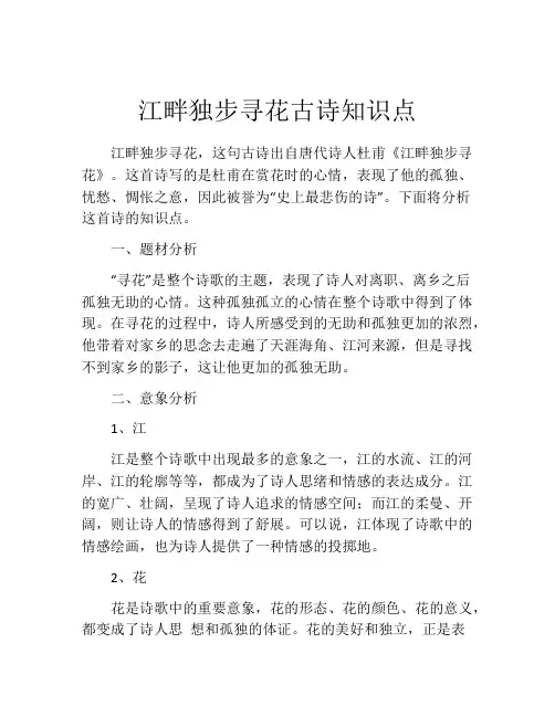 江畔独步寻花古诗知识点
