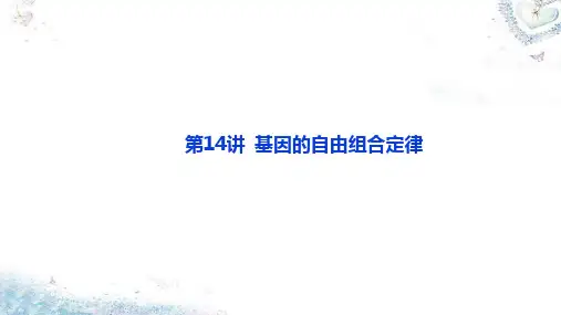 第14讲 基因的自由组合定律-考点二 自由组合定律常规题型的解题规律和方法