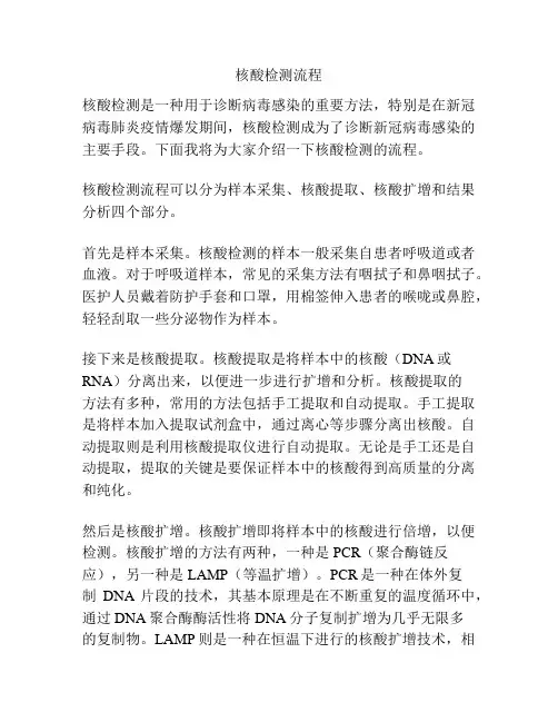 核酸检测流程