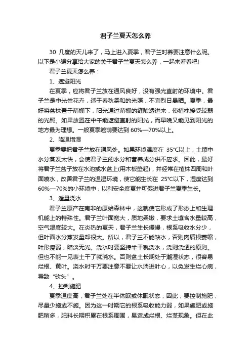 君子兰夏天怎么养