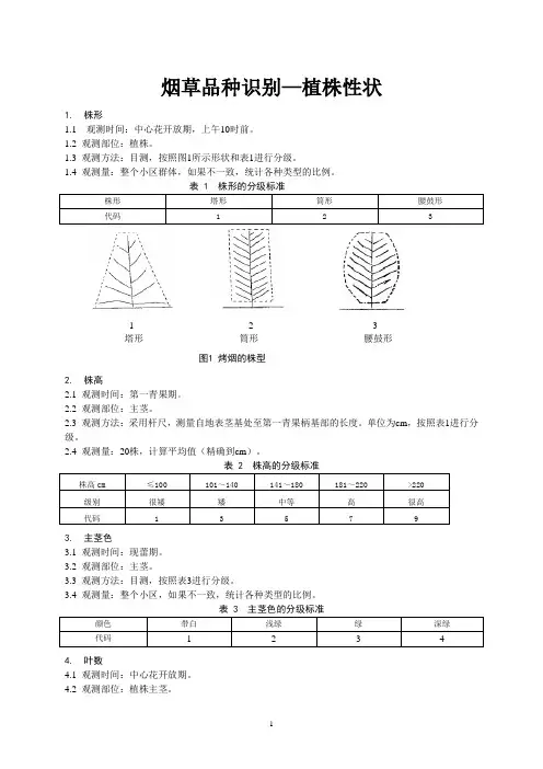 烟草品种观察性状