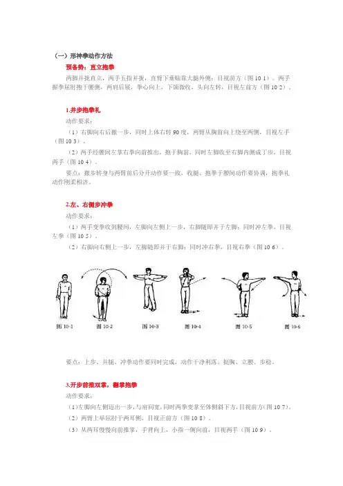 形神拳动作